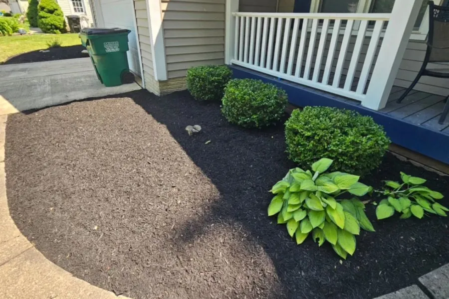 Garden Design