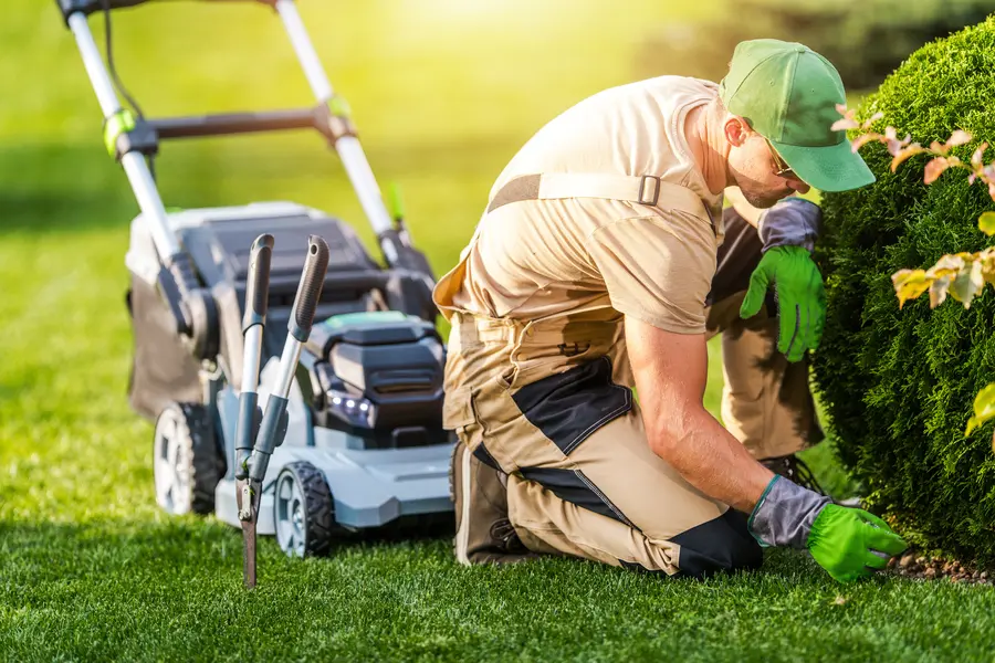 Yard Maintenance